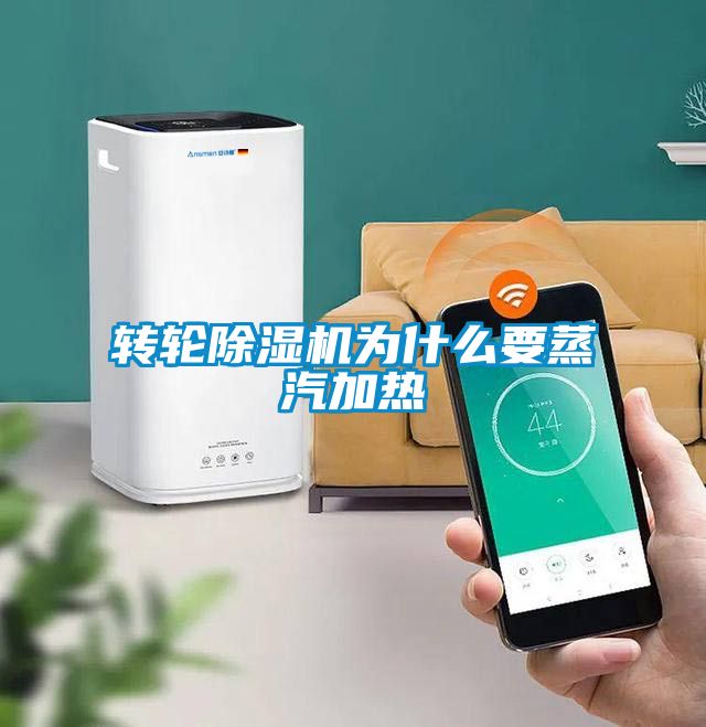 转轮粉色视频免费在线观看为什么要蒸汽加热