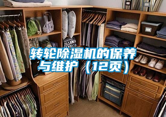 转轮粉色视频免费在线观看的保养与维护（12页）