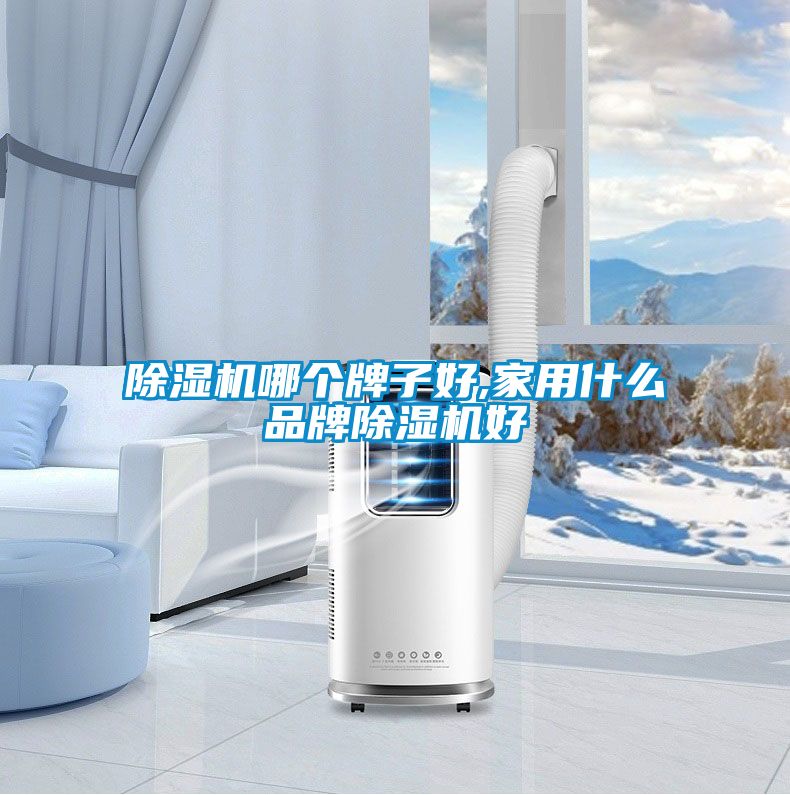 粉色视频免费在线观看哪个牌子好,家用什么品牌粉色视频免费在线观看好