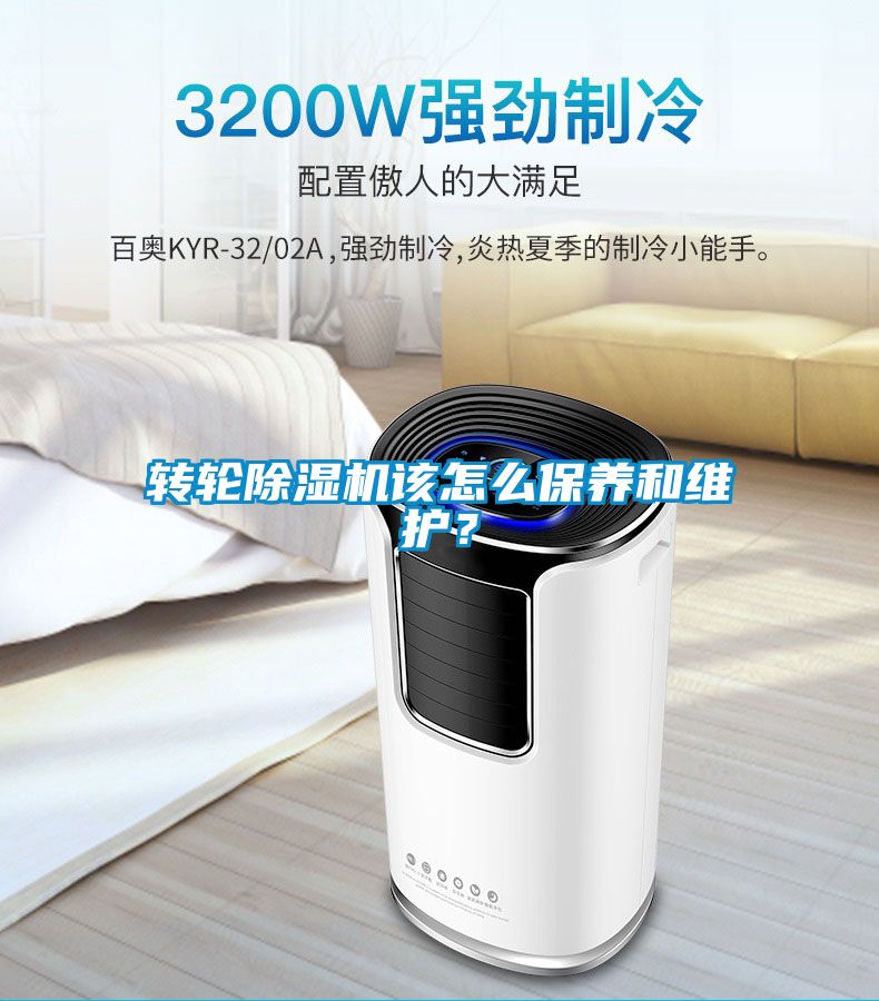 转轮粉色视频免费在线观看该怎么保养和维护？