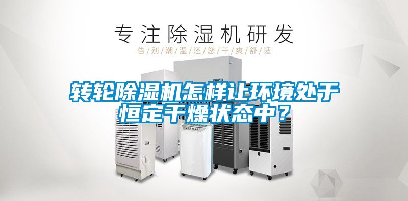 转轮粉色视频免费在线观看怎样让环境处于恒定干燥状态中？