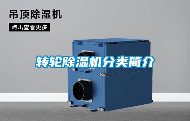 转轮粉色视频免费在线观看分类简介