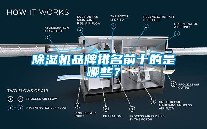 粉色视频免费在线观看品牌排名前十的是哪些？