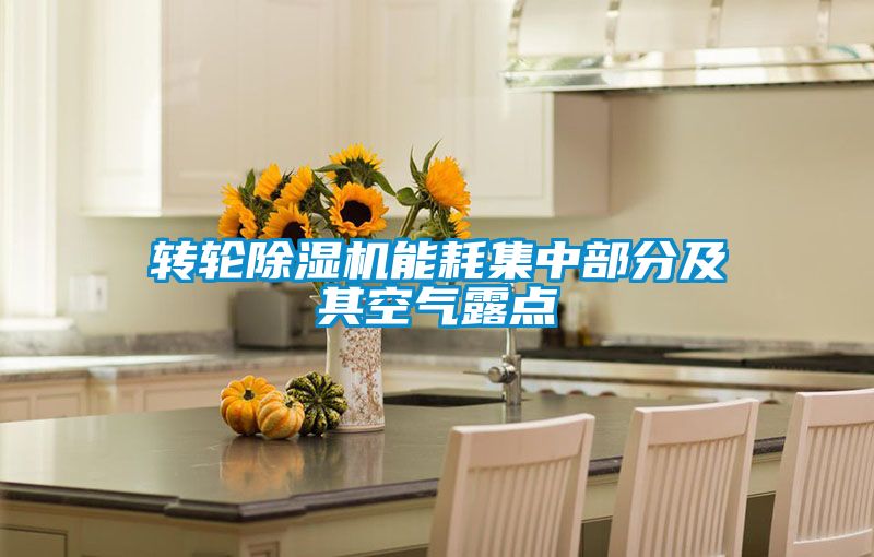 转轮粉色视频免费在线观看能耗集中部分及其空气露点