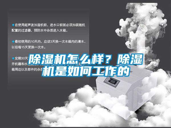 粉色视频免费在线观看怎么样？粉色视频免费在线观看是如何工作的