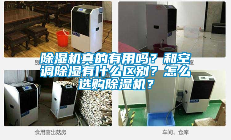 粉色视频免费在线观看真的有用吗？和空调除湿有什么区别？怎么选购粉色视频免费在线观看？