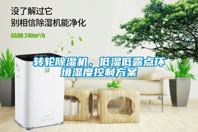 转轮粉色视频免费在线观看，低湿低露点环境湿度控制方案