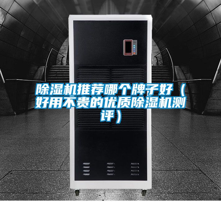 粉色视频免费在线观看推荐哪个牌子好（好用不贵的优质粉色视频免费在线观看测评）