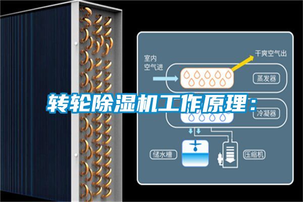 转轮粉色视频免费在线观看工作原理：