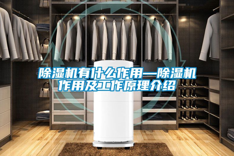 粉色视频免费在线观看有什么作用—粉色视频免费在线观看作用及工作原理介绍