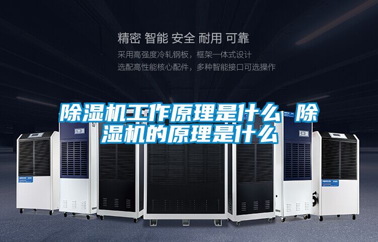 粉色视频免费在线观看工作原理是什么 粉色视频免费在线观看的原理是什么