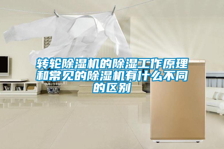 转轮粉色视频免费在线观看的除湿工作原理和常见的粉色视频免费在线观看有什么不同的区别
