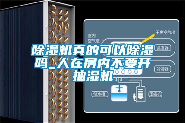 粉色视频免费在线观看真的可以除湿吗_人在房内不要开抽湿机