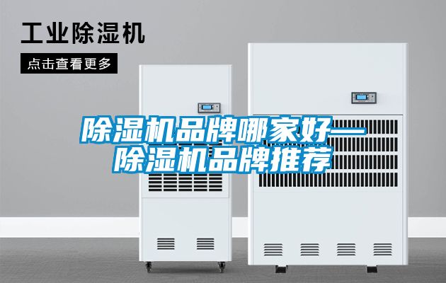 粉色视频免费在线观看品牌哪家好—粉色视频免费在线观看品牌推荐