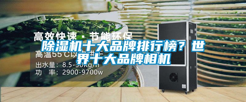 粉色视频免费在线观看十大品牌排行榜？世界十大品牌相机