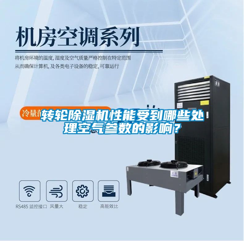 转轮粉色视频免费在线观看性能受到哪些处理空气参数的影响？