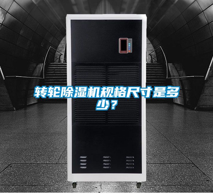 转轮粉色视频免费在线观看规格尺寸是多少？