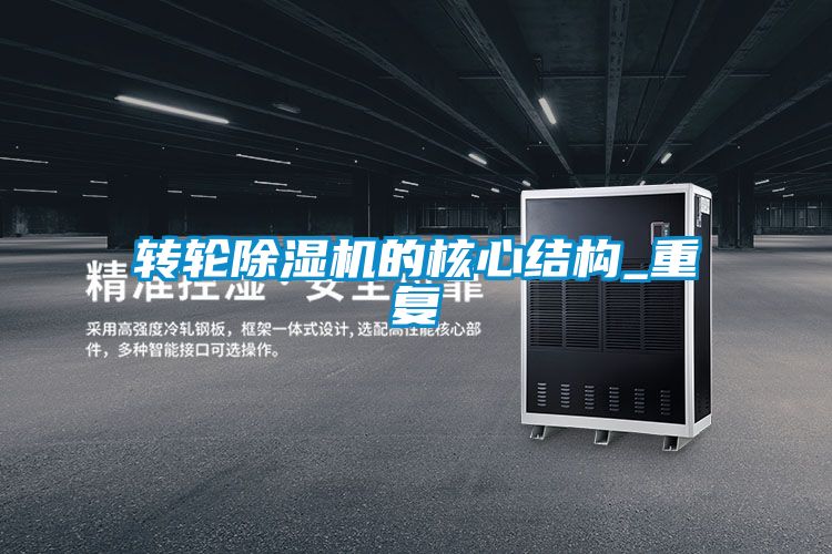 转轮粉色视频免费在线观看的核心结构_重复