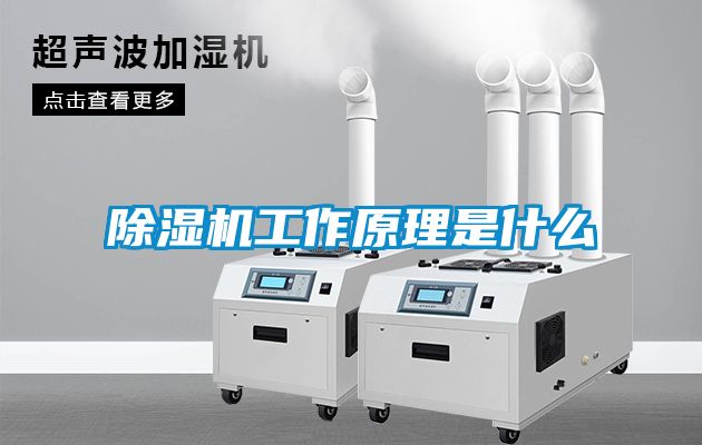粉色视频免费在线观看工作原理是什么