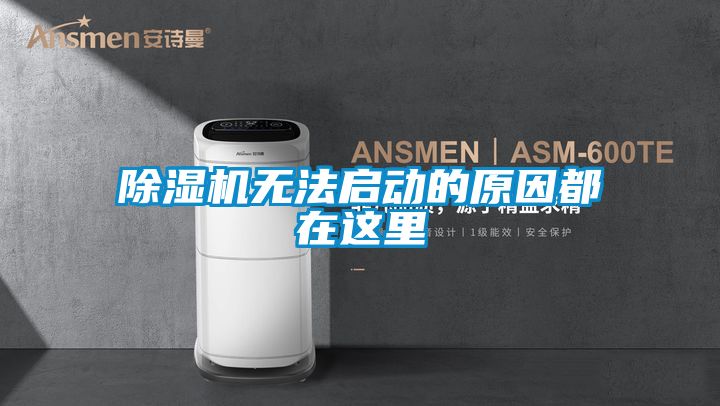 粉色视频免费在线观看无法启动的原因都在这里