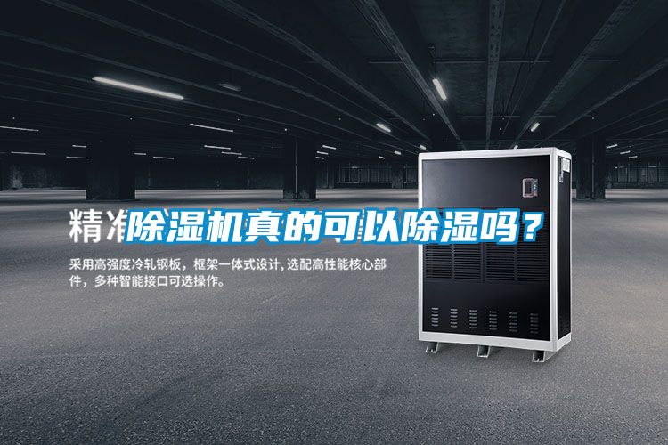 粉色视频免费在线观看真的可以除湿吗？