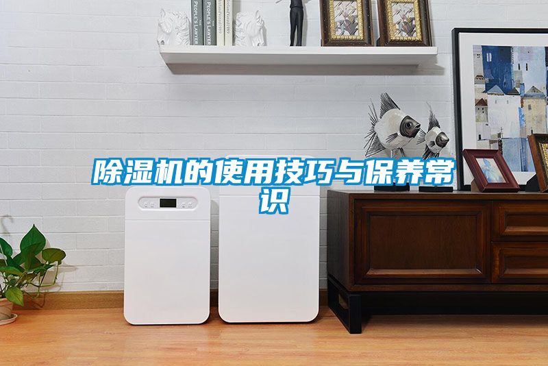 粉色视频免费在线观看的使用技巧与保养常识
