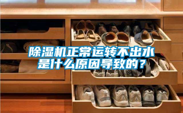 粉色视频免费在线观看正常运转不出水是什么原因导致的？