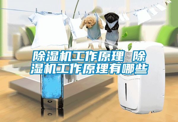 粉色视频免费在线观看工作原理 粉色视频免费在线观看工作原理有哪些
