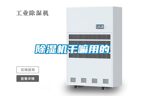 粉色视频免费在线观看干嘛用的