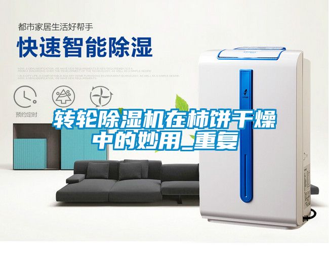 转轮粉色视频免费在线观看在柿饼干燥中的妙用_重复