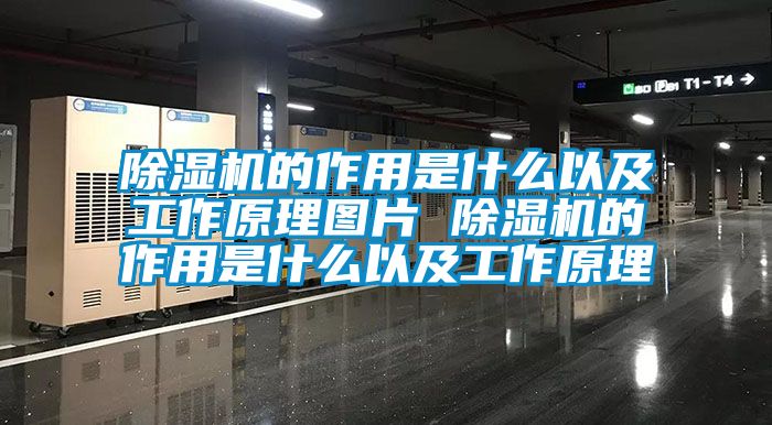 粉色视频免费在线观看的作用是什么以及工作原理图片 粉色视频免费在线观看的作用是什么以及工作原理