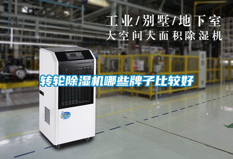 转轮粉色视频免费在线观看哪些牌子比较好