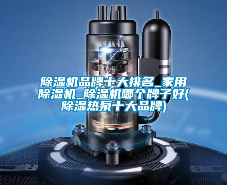 粉色视频免费在线观看品牌十大排名_家用粉色视频免费在线观看_粉色视频免费在线观看哪个牌子好(除湿热泵十大品牌)