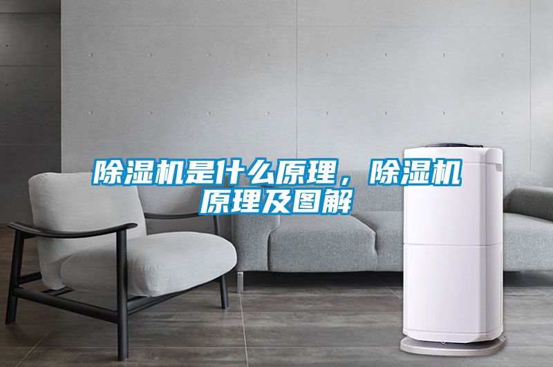粉色视频免费在线观看是什么原理，粉色视频免费在线观看原理及图解