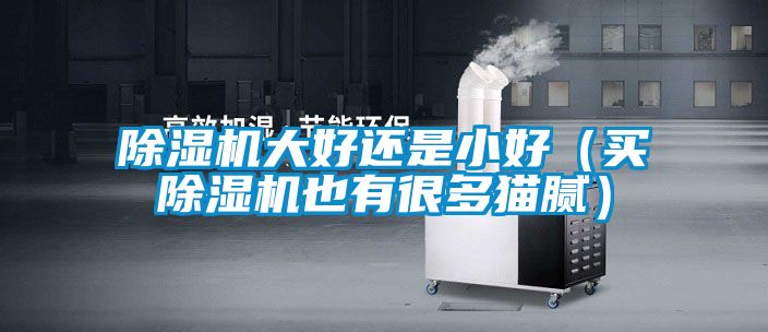 粉色视频免费在线观看大好还是小好（买粉色视频免费在线观看也有很多猫腻）
