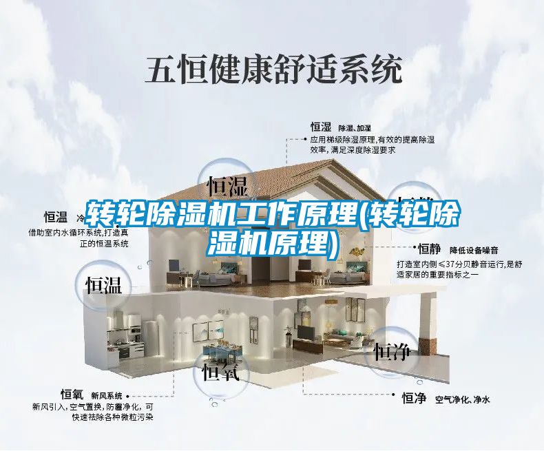 转轮粉色视频免费在线观看工作原理(转轮粉色视频免费在线观看原理)