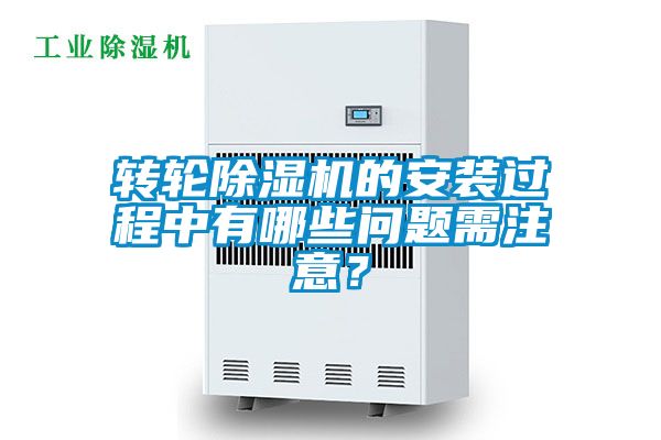 转轮粉色视频免费在线观看的安装过程中有哪些问题需注意？