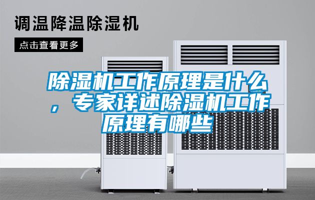 粉色视频免费在线观看工作原理是什么，专家详述粉色视频免费在线观看工作原理有哪些