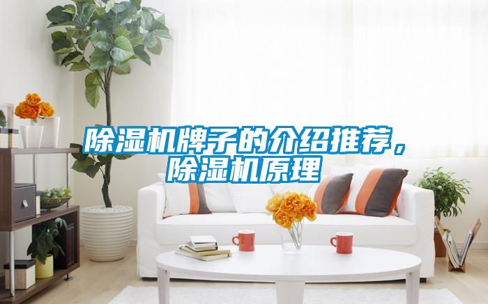 粉色视频免费在线观看牌子的介绍推荐，粉色视频免费在线观看原理