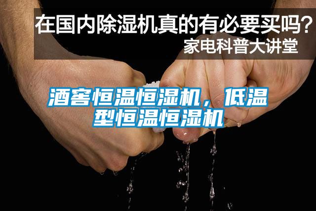 酒窖恒温恒湿机，低温型恒温恒湿机