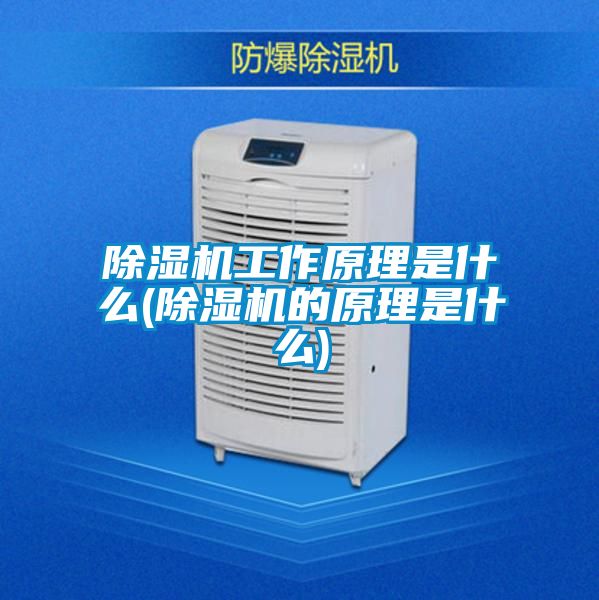 粉色视频免费在线观看工作原理是什么(粉色视频免费在线观看的原理是什么)