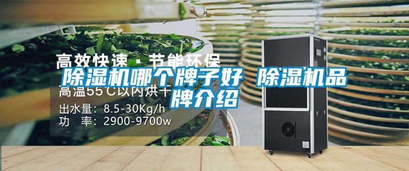 粉色视频免费在线观看哪个牌子好 粉色视频免费在线观看品牌介绍