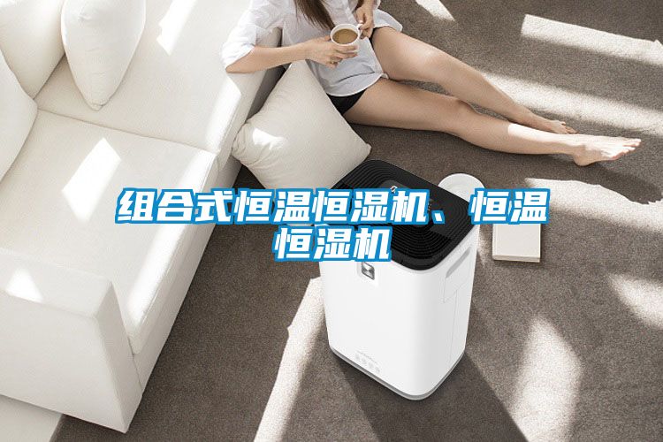 组合式恒温恒湿机、恒温恒湿机