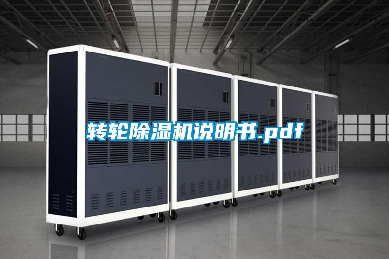 转轮粉色视频免费在线观看说明书.pdf