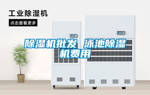 粉色视频免费在线观看批发 泳池粉色视频免费在线观看费用