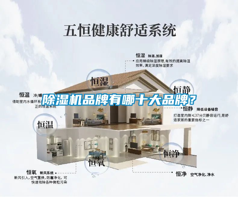 粉色视频免费在线观看品牌有哪十大品牌？
