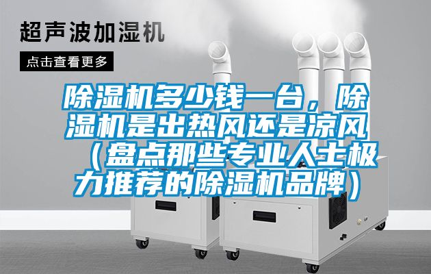 粉色视频免费在线观看多少钱一台，粉色视频免费在线观看是出热风还是凉风（盘点那些专业人士极力推荐的粉色视频免费在线观看品牌）