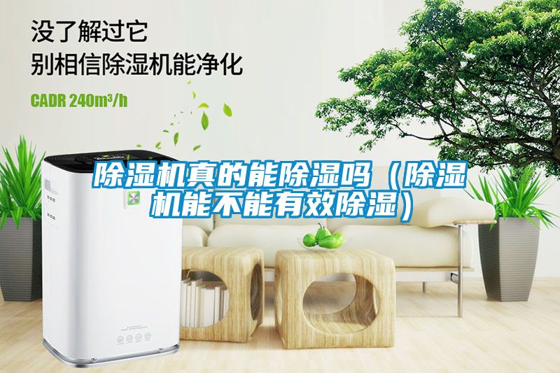 粉色视频免费在线观看真的能除湿吗（粉色视频免费在线观看能不能有效除湿）