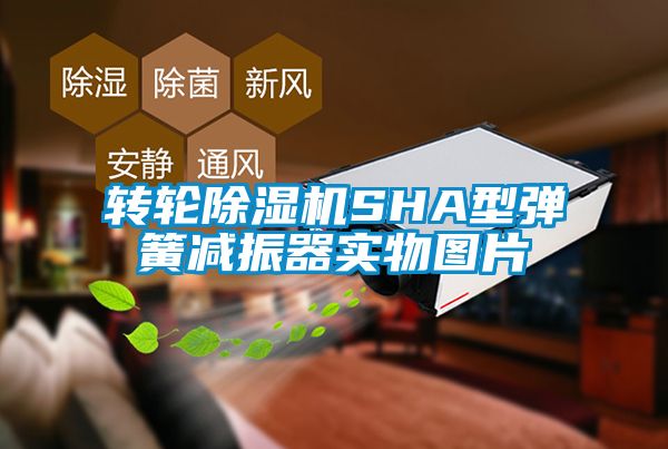 转轮粉色视频免费在线观看SHA型弹簧减振器实物图片