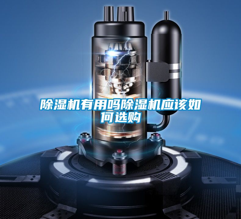 粉色视频免费在线观看有用吗粉色视频免费在线观看应该如何选购
